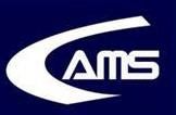 AMS Consulting