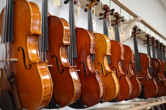 Schwan Violins