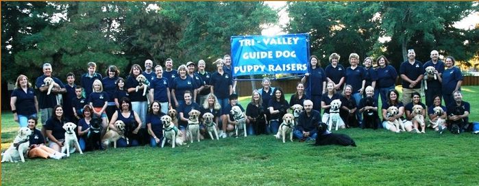 Tri Valley Guide Dog Puppy Raisers